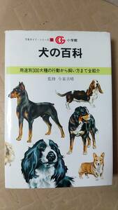 書籍/犬、ペット、動物　ジーノ・プニェッティ著 / 犬の百科 用途別300犬種の行動から飼い方まで全紹介　1986年初版4刷　小学館　中古