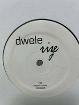 dwele rize 幻の1stアルバム レコード slum village j dilla dee d'angelo common erykah badu_画像1