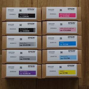 新品未開封 EPSON純正 SC-PX1VL 専用96番インク 10色全色セット ICBK96 ICMB96 ICC96 ICVM96 ICY96 ICLC96 ICVLM96 ICGY96 ICLGY96 ICDBL96