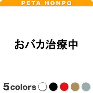 カッティングステッカー おバカ治療中 病気 病院 介護 療養 骨折 怪我 車 バイク 事故 おもしろ