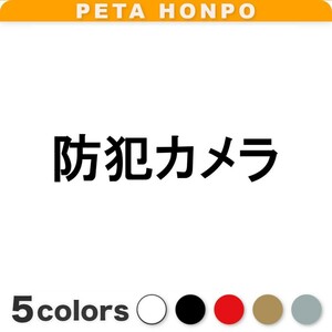 カッティングステッカー 防犯カメラ 車 バイク 家 倉庫 工場 防犯カメラ ドライブレコーダー 盗難 録画 セキュリティ