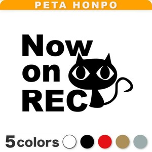 カッティングステッカー Now on REC猫(A) ドラレコ 録画中 ドライブレコーダー 車 おしゃれ かわいい 後方録画中 キャット イラスト