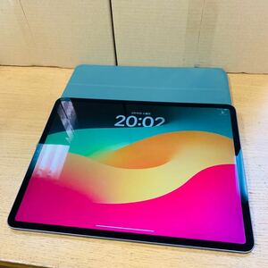 Apple iPad Pro 12.9 第3世代 64GB WiFi 3D941J/A NN8834