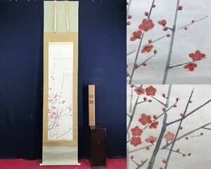 Art hand Auction Travail authentique/Suzuki Choshin/Fleurs de prunier rouge/Enseignants Yokoyama Taikan et Yasuda Yukihiko/Fleurs et arbres/Fleurs et oiseaux/Parchemin suspendu ☆Navire au trésor☆AE-319, Peinture, Peinture japonaise, Paysage, Vent et lune