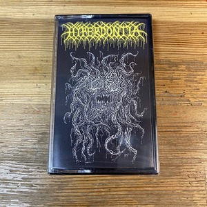 [ время ограничено 30%OFF распродажа!]HYPERDONTIA / A VESSEL FORLORN ( музыка лента )