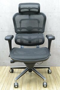 H690■Ergohuman エルゴヒューマン■メッシュチェア■ヘッドレスト 可動 肘付 OAチェア オフィスチェア