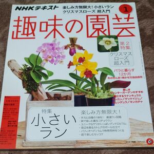 ＮＨＫ　趣味の園芸 ２０１９年１月号 （ＮＨＫ出版）