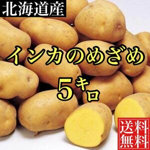 北海道産 幻のじゃがいも　インカのめざめ　約5キロ弱　送料無料