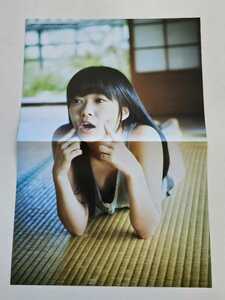 HKT48 指原莉乃 写真集 「猫に負けた」 特製付録ポスター 未使用