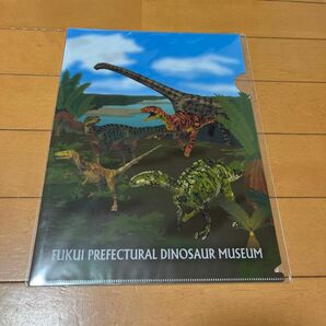 福井県立恐竜博物館　クリアファイル　未使用