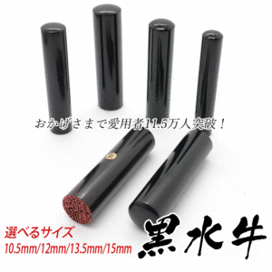 印鑑 実印 黒水牛 印鑑 10.5mm～15mm はんこ 作成 銀行印 認印 印鑑セットも 男性 女性