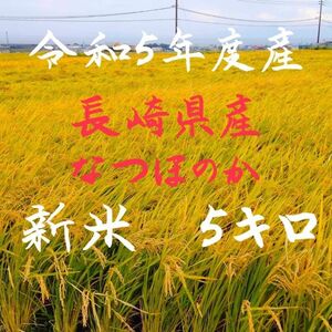 長崎県産 新米 なつほのか 5キロ 減農薬 名水 お米