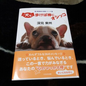 犬も歩けば棒にオシッコ　深見東州の言葉シリーズ