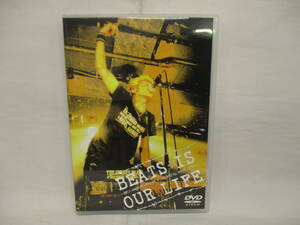 DVD　THE STREET BEATS　BEATS IS OUR LIFE　NVL-4009