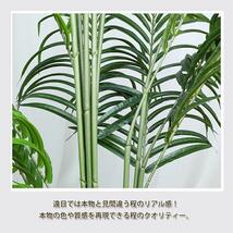 F0021 フェイクグリーン 人工観葉植物 アレカヤシ 高さ160cm 鉢付き_画像3