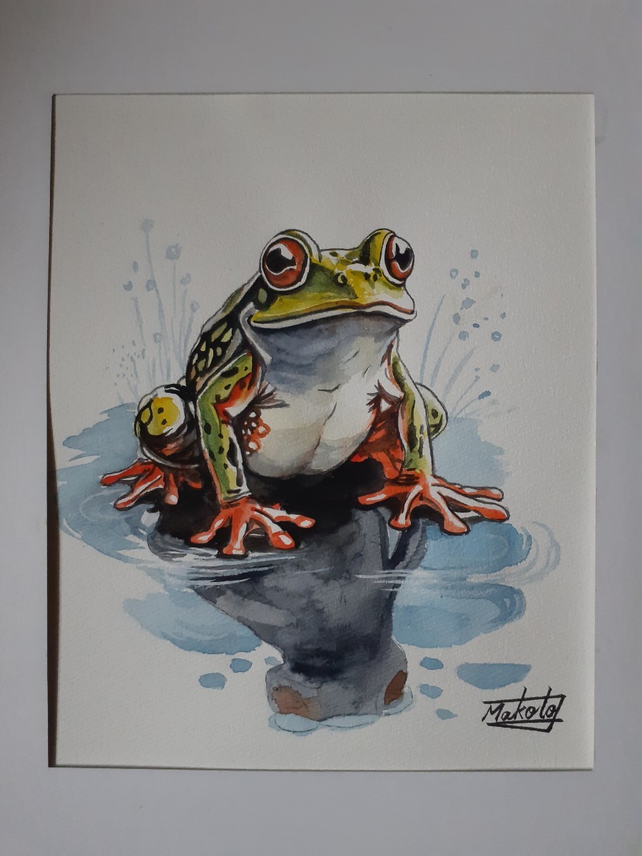 수채화 개구리, 그림, 수채화, 동물 그림