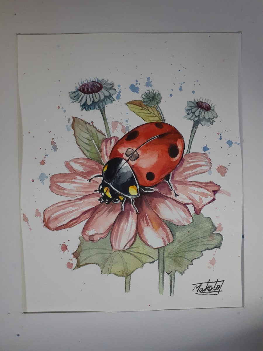 水彩花卉和瓢虫, 绘画, 水彩, 动物画