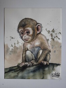 水彩画　Baby Monkey