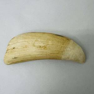 【MMY2958KK】１円スタート クジラの歯？ 鯨の歯？ 歯牙 重量約349g 全長約16cm 彫刻材料 印材 根付 希少 レア物 オブジェ 置物