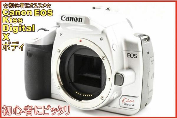 Canon EOS Kiss Digital X ボディ【希少なシルバーカラー】 初心者に大人気☆簡単操作☆お得な掃除セット付き