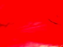 1円 ■美品■ miumiu ミュウミュウ クロコダイル型押しパテントレザー ワンハンドル ハンドバッグ ショルダーバッグ レッド系 BI0981_画像5
