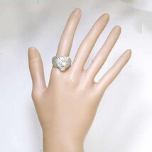 ダイヤモンド 0.19ct 0.06ct プラチナ Pt900 リング 21号 虎 トラ タイガー_画像2