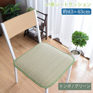 シートクッション 夏用 い草 椅子用 チェアパッド 和柄 約43×43cm トンボ柄 グリーン 湿気対策 吸湿性