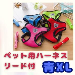 【青 XL】リード付きハーネス 散歩 首輪 胴輪 散歩 ペット メッシュ 夏