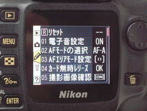 Nikon D50 ＋ AF-S DX NIKKOR 18-55mm F3.5-5.6G ED (実用美品） ショット数2344回 純正バッテリー＋純正充電器＋取説＋SDカード他付_画像8