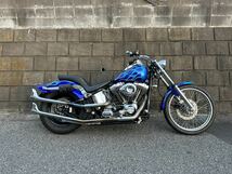 Harley-Davidson FXST1450 55,000km ソフテイル カスタム多数 ハーレー TC88_画像1