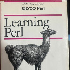 初めてのＰｅｒｌ （Ａ　ＮＵＴＳＨＥＬＬ　ＨＡＮＤＢＯＯＫ） Ｒａｎｄａｌ　Ｌ．Ｓｃｈｗａｒｔｚ／著　近藤嘉雪／訳