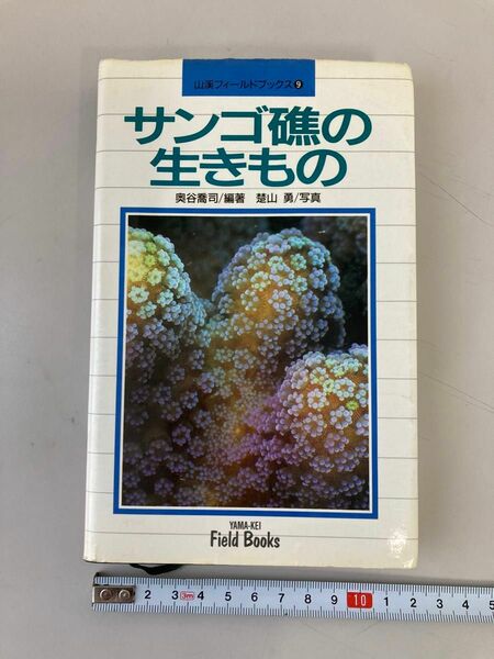 サンゴ礁の生きもの　珊瑚　生きもの　山渓フィールドブックス　サンゴ　生物　山と渓谷社　図鑑　珊瑚図鑑　