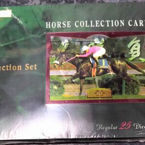 ★希少★ エポック ホースコレクションカード セレクションセット 競馬 日本製 1点