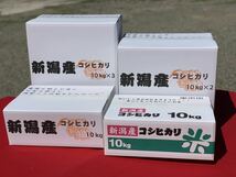 令和5年産　コシヒカリ・新潟県認証特別栽培米　白米か玄米5キロ 1個　色彩選別済26_画像5