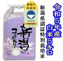 令和5年産　コシヒカリ・新潟県認証特別栽培米　白米か玄米5キロ 1個　色彩選別済26_画像1