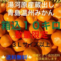 【関東・東北・信越・北陸・中部・関西にお住いの方限定】神奈川県湯河原産 産直 晩生 蔵出し 青島温州みかん 3Lサイズ以上10kg箱込★A2_画像1