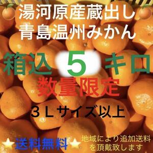 【関東・東北・信越・北陸・中部・関西にお住いの方限定】神奈川県湯河原産 産直 晩生 蔵出し 青島温州みかん 3Lサイズ以上5kg箱込★B3