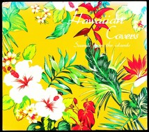 国内盤 ハワイアン・カヴァーズ~ハワイアンアーティストによるポップスカヴァー曲集　4枚同梱可能　b2B000RG154M_画像1
