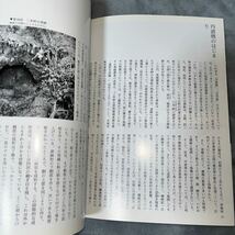 日本の美術 No.398 丹波 至文堂 丹波焼 遺跡_画像8