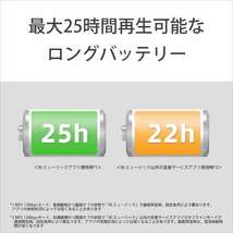 SONY NW-ZX707 64GB ブラック　WALKMAN 2023年モデル　1年保証付　新品　送料無料_画像10