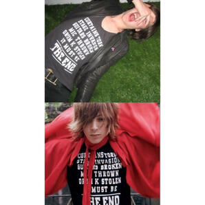 即決 05AW DIOR HOMME ディオールオム Hedi Slimane エディスリマン GLAM グラム期 5HH3068805 THE END メッセージプリントTシャツ メンズSの画像10