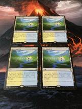 MTG 4枚組　溢れかえる岸辺/Flooded Strand KTK 日本語_画像2