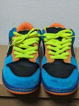 NIKE DUNK LOW PRO SB SKATE OR DIE 28.5cm US10.5 ナイキ ダンク 箱無し 付属品無し_画像2