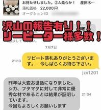 ③ A' 超柔らか　クヌギ 6本　太さ13〜14cm 　長さ約14 cm 椎茸原木　産卵木　在庫少クヌギはもうしばらく出ません。_画像3