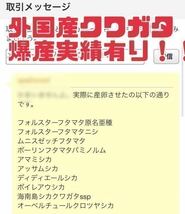 207 柔らか　ナラ　13本　太さ10〜11cm 　長さ約14 cm 椎茸原木　産卵木_画像2