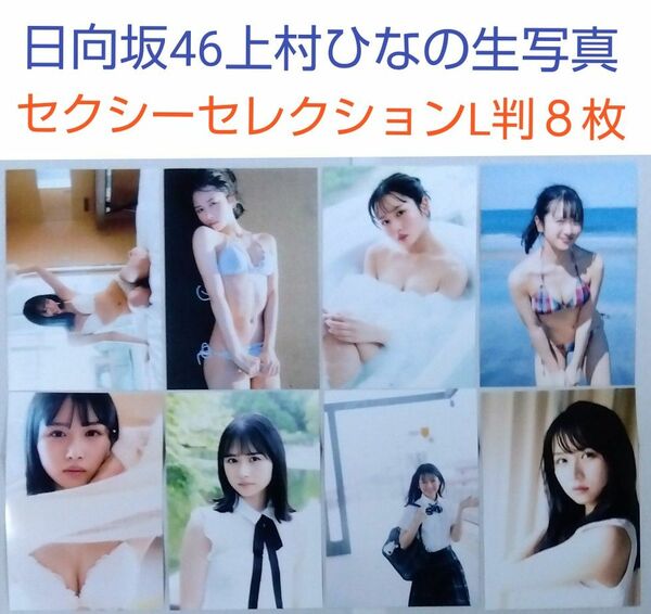 日向坂46上村ひなの セクシーセレクション 生写真　L判 ８枚セット