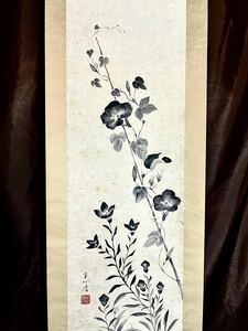 Art hand Auction [Copie] [S8] Papier de fleur de ballon Harada Kaname et de gloire du matin, Peinture à l'encre, Dessin De Fleur, Fleur De Ballon, Gloire du matin, Thé Suspendu, Peinture japonaise, Peinture, Parchemin suspendu, Peinture, Peinture japonaise, Fleurs et oiseaux, Faune