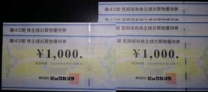 ビックカメラ株主優待 株主様お買物優待券1000円券6枚セット