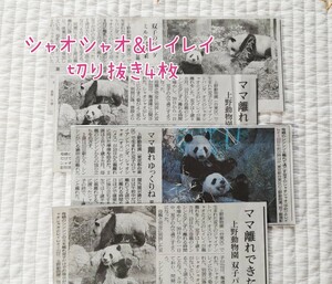 シャオシャオ&レイレイ　朝日新聞 切り抜き4枚　上野動物園　シャンシャン