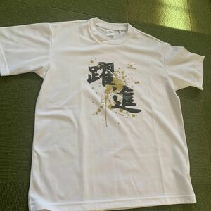 ミズノ Tシャツ 練習着 ロゴ入り Mサイズ